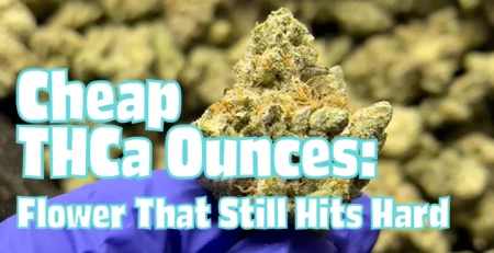 High Hippy Blog: Cheap THCa Ounces That Still Hit Hard: High Hippy’s Top Picks by Tier