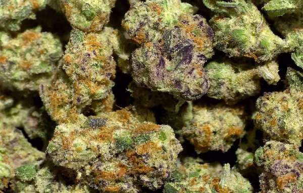 Cherry AK THCa SMALLS - 33.1% - $100 OZ - Free OVERNIGHT Shipping @ HighHippy.com