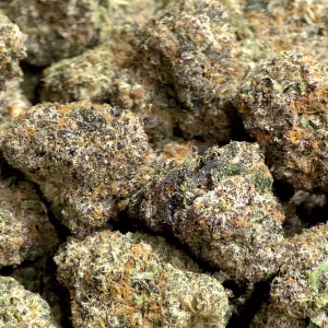 Cruise Control - Sativa Strain - THCa Flower - 32.18% - Caviar Grade