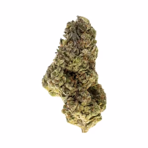 Gush Mint THCa Flower Indica