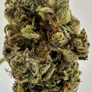 Future Haze Indica StraiFuture Haze Indica Strain - High Potency Flower - 40.93% THCa @ HighHippy.com | Free Overnight Shipping!n - THCa Smalls - 40.93% @ HighHippy.com | Free Overnight Shipping!