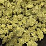 GG #4 - THCa Pre Roll - 1.5g - Indica Strain - 43.20% @ HighHippy.com 4 Free Overnight Shipping!