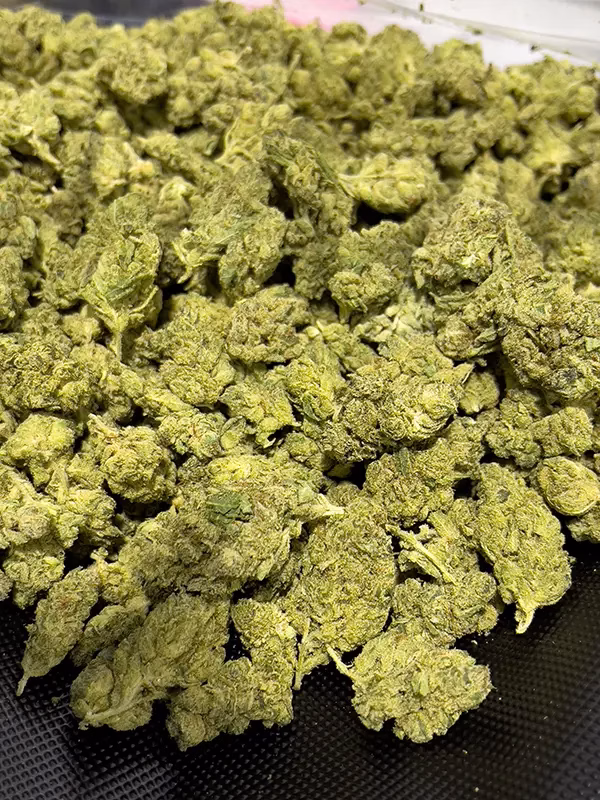 GG #4 - THCa Pre Roll - 1.5g - Indica Strain - 43.20% @ HighHippy.com 4 Free Overnight Shipping!