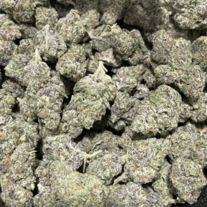 Jet Fuel Runtz - 31.37% THCa - EX - Image 1