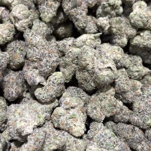 GMO - 32.97% THCa - PR - Image 2