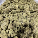 Slurricane THCa Flower — Indica — 28.82% — Light Dep - Image 2