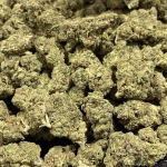 Jamaican Dream THCa Flower — Sativa — 31.79% — EX - Image 2