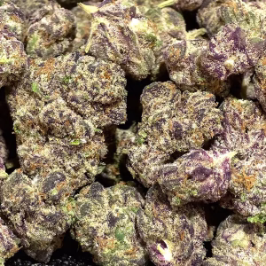 Laughing Buddha Sativa Strain - THCa Smalls_Cheap OZ - 33.35% @ HighHippy.com - FREE OVERNIGHT DELIVERY!