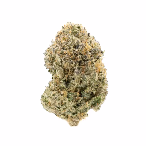 Prohibition Candy THCa Flower Indica