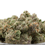 Purple Gushers Smalls THCa Flower