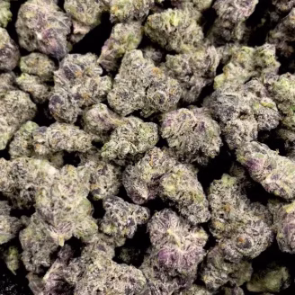 Bolo Runtz THCa Flower Indica