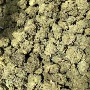 Gary Payton - Hybrid Strain - THCa Smalls - 29.21% - Exotic @ HighHippy.com