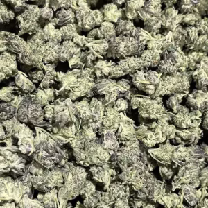 Ghost Train Haze (S) - 31.58% THCa - EX - Image 2