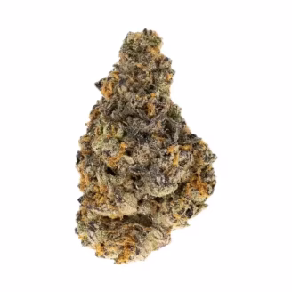 Grape Stomper THCa Flower Sativa