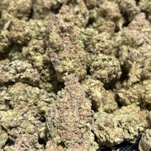 Alien Fritter - 39.83% THCa - PR - Image 2