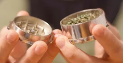 Best THCa Flower for Beginners @ HighHippy.com Blog - Best Weed Online