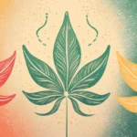 THCa vs THC vs D9 - The Truth About Hemp Revealed @ HappyHippy.com BLOGS!