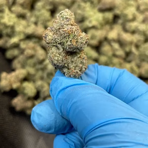 Ya Hemi - Sativa Strain - THCa Smalls - High Potency Flower - 39.58% @ HighHippy.com - FREE OVERNIGHT SHIPPING!