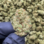 Blue Dream Smalls THCa Hemp Flower Exotic