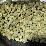 Blue Zushi Smalls THCa Flower Indica