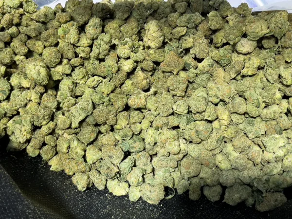 Blue Zushi — THCa Smalls — Indica Strain — 31.40% 01 Blue Zushi — THCa Smalls — Indica Strain — 31.40% @ highhippy.com - Fast Shipping
