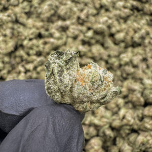 Candyland (S) - 34.87% THCa - EX - Image 2