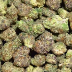 Cruise Control – THCa Smalls – Sativa Strain – 32.18% – Private Reserve @ HighHippy.com - FREE OVERNIGHT DELIVERY - Cheap OZ!