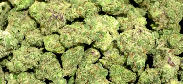 Donny Burger THCa Smalls - Indica Strain - Cheap Ounces - 32.49% - Exotic HighHippy.com