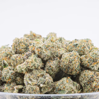 Memory Loss Sativa Strain