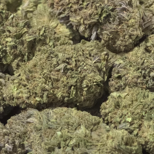 Peyote Haze THCa Hemp Flower