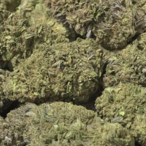 Peyote Haze THCa Hemp Flower