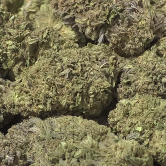 Peyote Haze THCa Hemp Flower