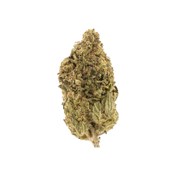 Prohibition Glue Prohibition Glue THCa Hemp Flower