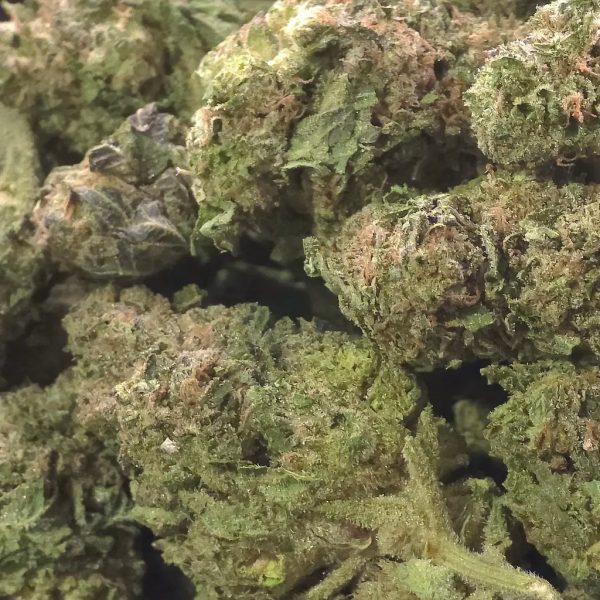 Prohibition Glue THCa Hemp Flower