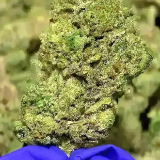 Prohibition OG THCa Flower Indica