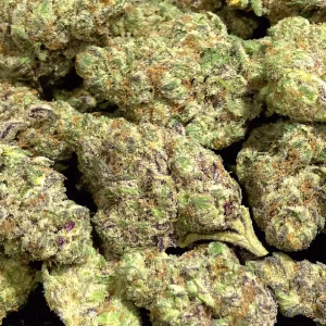 Purple Stardawg THCa Flower Sativa