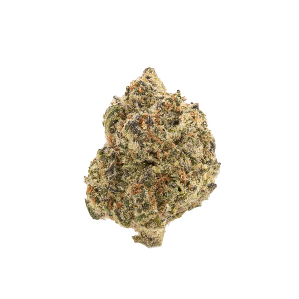 Purple Stardawg Purple Stardawg