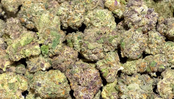 Sex Panther - THCa Smalls - Indica - 41.50% High Potency - Private Reserve @ HighHippy.com - Best THCa Flower - Overnight Shipping!