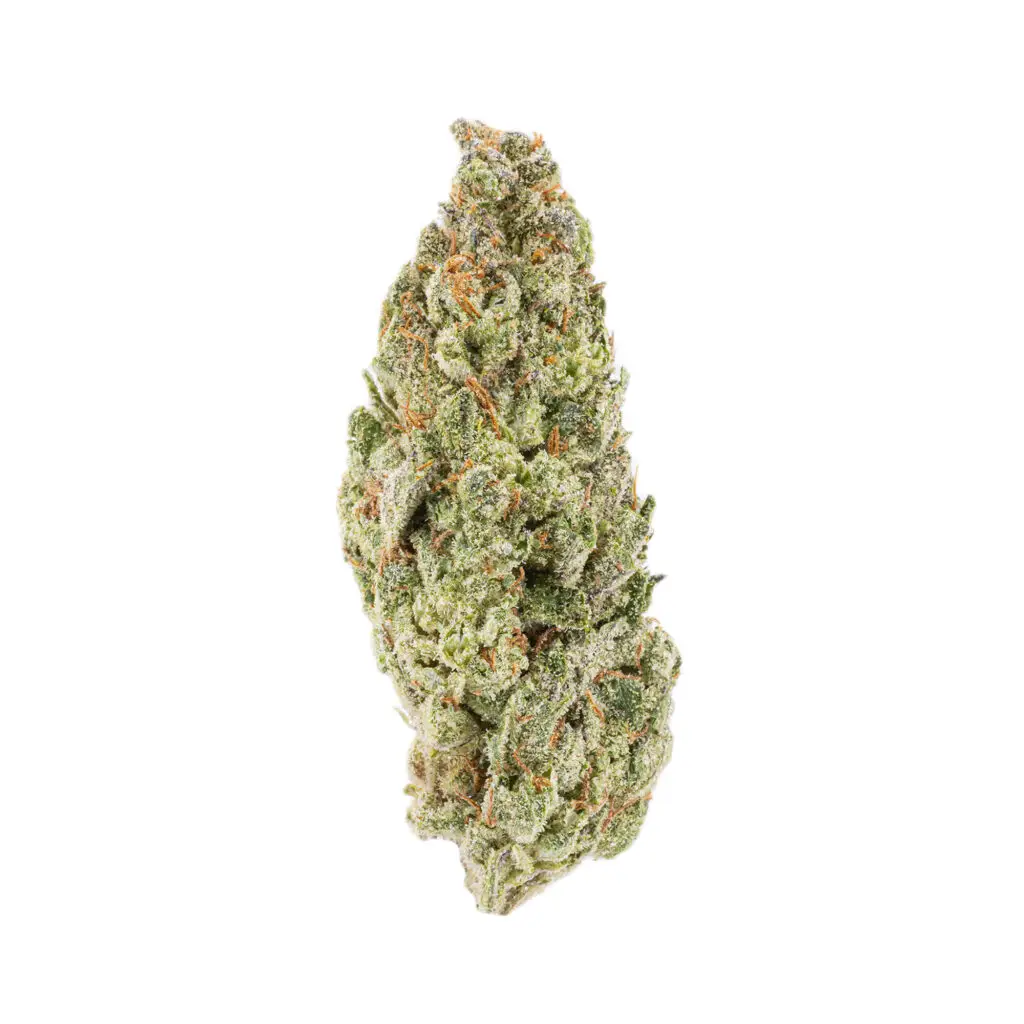 White Rhino THCa Flower — Indica — 36.08% — Exotic Indoor