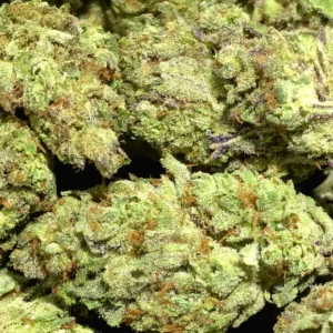 White Rhino THCa Flower