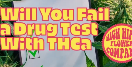 Will You Fail a Drug Test With THCa- The Truth About Hemp! @ HighHippy.com - Best THCa Flower Online!