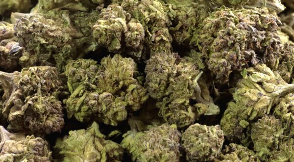 Cherry Poppers THCa Flower Sativa