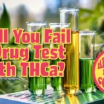 Will You Fail a Drug Test With THCa- BLOG @ HighHippy.com
