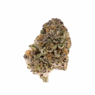 Purple Gushers THCa Flower