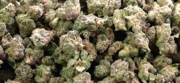 Super Boof Smalls THCa Flower Sativa