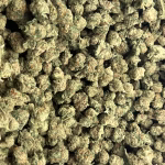 Florida Sunset – Sativa Strain – THCa Smalls – 30.05% – Exotic Indoor