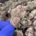 Ice Cream Man THCa Flower — Indica Strain — 34.61% — 3.5g @ HighHippy.com - Fast Shipping!