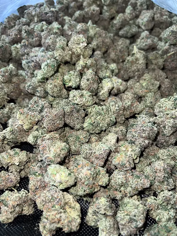 Ice Cream Man THCa Flower — Indica Strain — 34.61% — 3.5g @ HighHippy.com - Fast Shipping!