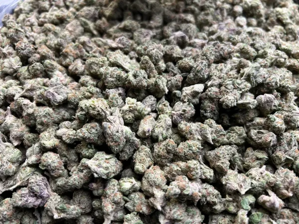 Purple Stardawg - THCa Smalls - Sativa Strain - High THCa Flower - 35.70% @ HighHippy.com - Cali-Grown, Shipped Fast!