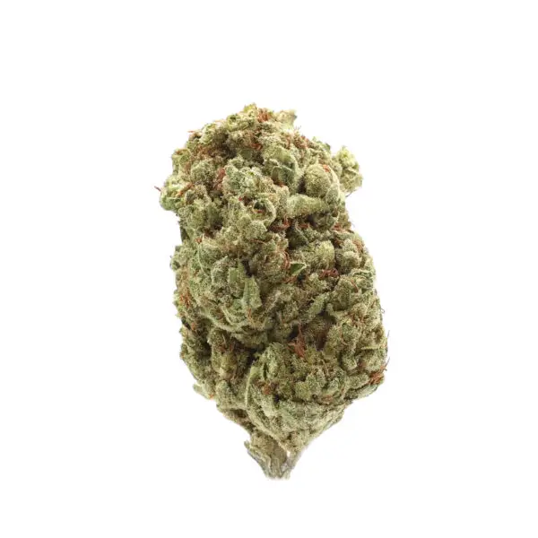 Banana Punch THCa Flower Hybrid Banana Punch THCa Flower Hybrid